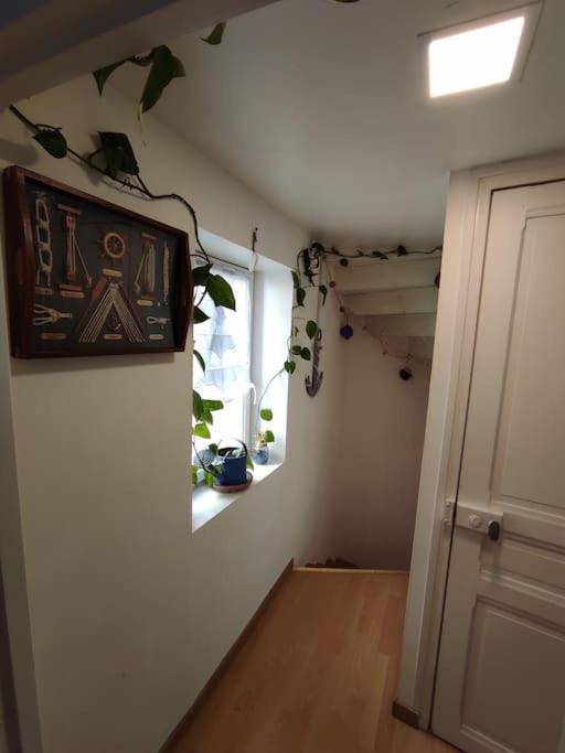 Chaleureuse Maison De Ville Avec Parking Gratuit 시농 외부 사진